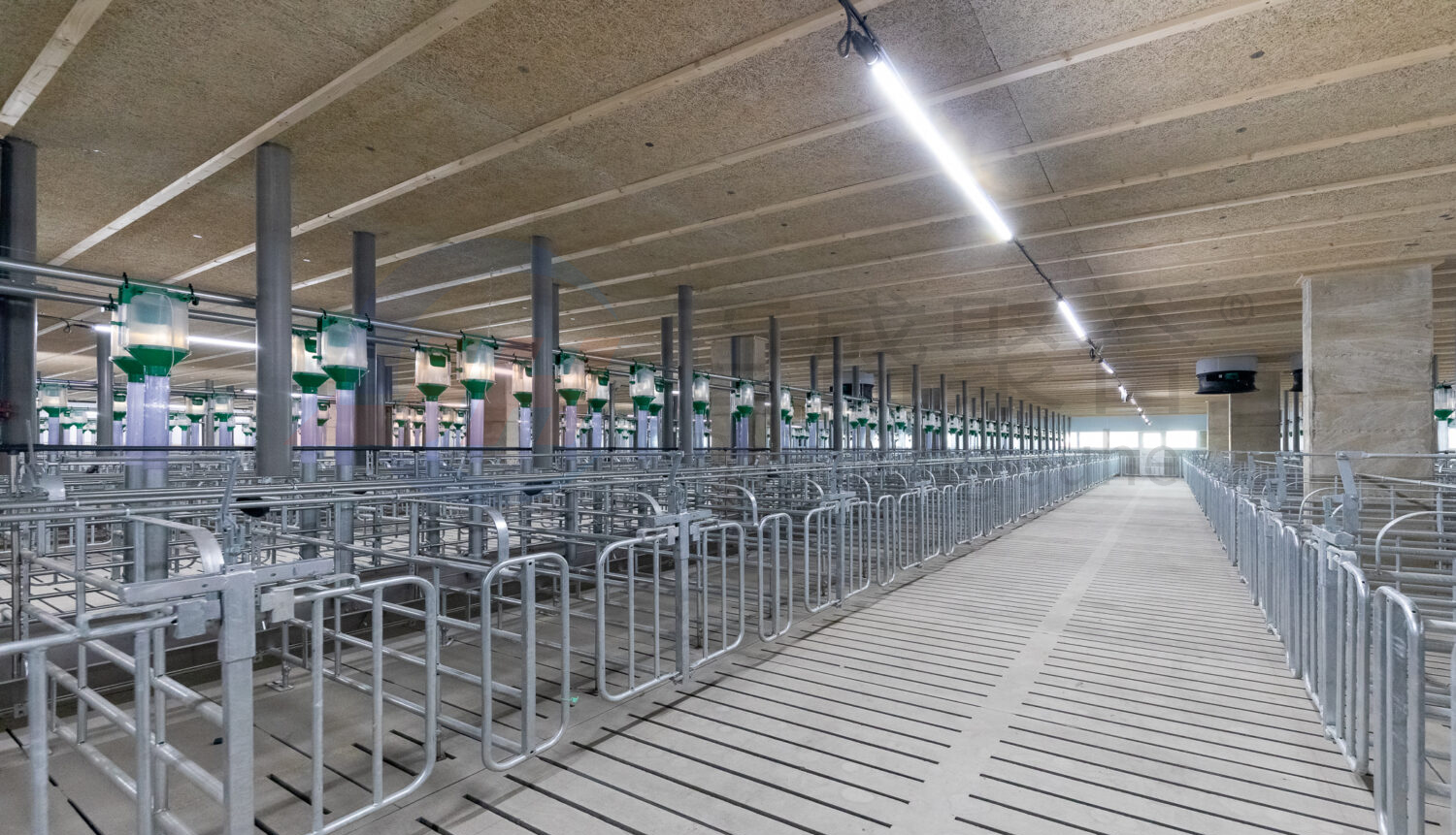ISO9001 2008/CE/BV Certified Pig Farming Business Plan for Customized Cages and Pen