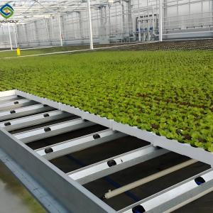 Quality Customized Size Lettuce Green House Easy Installation With Sliding / Swing Door wholesale