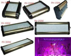 Quality Full Spectrum Automatic Cidly 50w LED grow Light wholesale