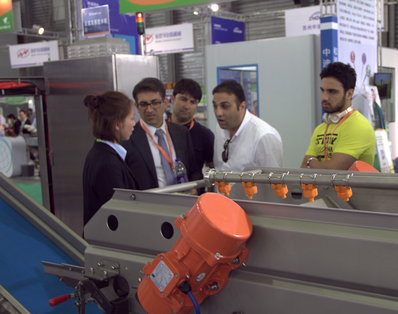 1000-1500 kg/h Capacity Root Vegetable Cutting Machine for Large Scale Production