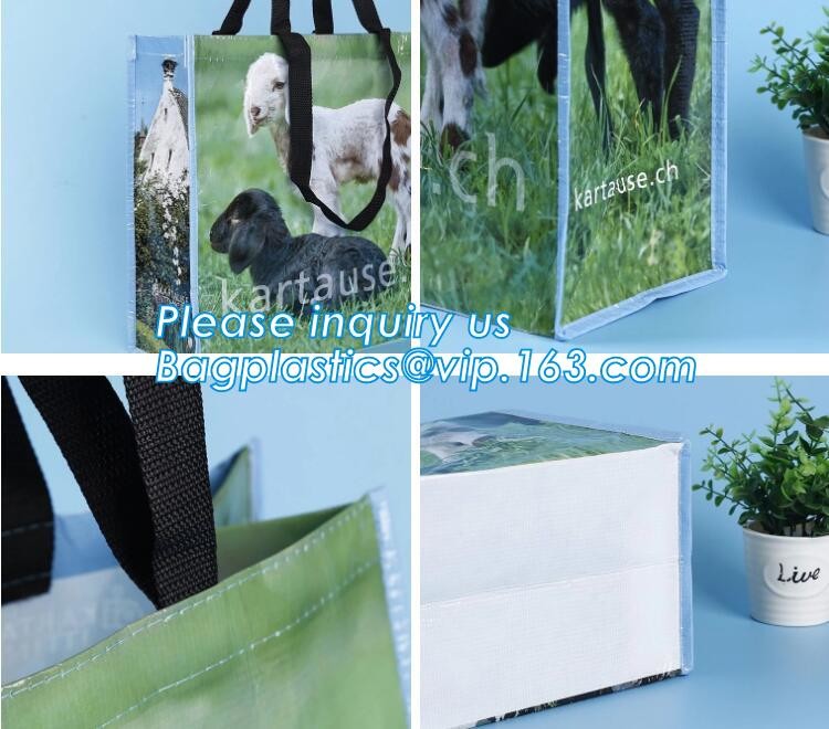 Manufacturer Wholesale Promotional Price Recyclable Fabric Shopping Tote Carry Custom PP Woven Bags, bagplastics, bageas