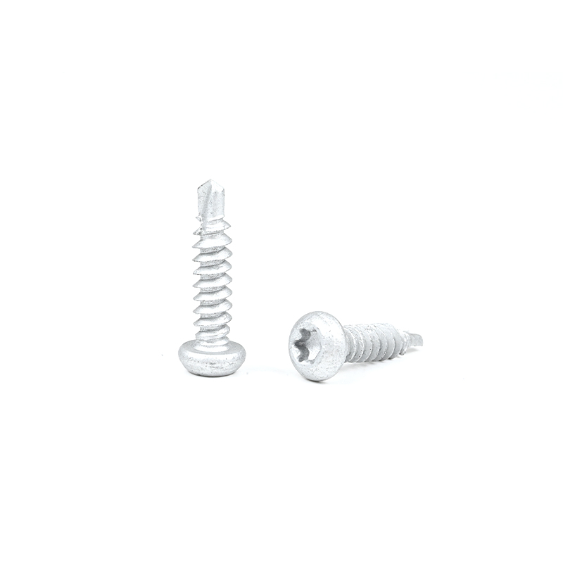 Pan Head Torx Drive Self Drilling Tapping Screw for Metal in 304 Stainless Steel