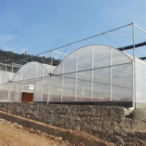 Quality Durable Agricultural Large Tunnel Multi-span Arched Poly Tunnel Greenhouse wholesale