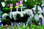 HAIHONG Beautiful Plants And Flowers Topiary Sculpture Fashionable