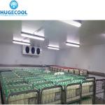 PU100981020213 Cold Storage Room for 100/200/300/500/1000 Tons Tomato and Fresh