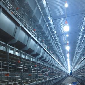 Quality Four Layers Poultry Cage wholesale