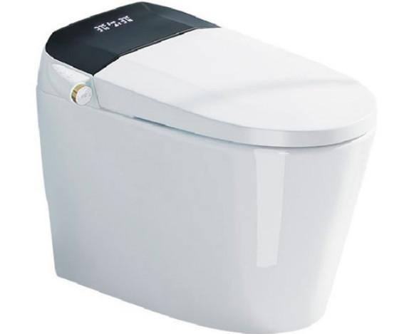 670 X 400 X 500mm Smart Wall Hung Toilet Intelligent Siphonic Wall Mounted Smart