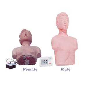 Quality Medical Science Human Half Body Simulation CPR Manikin For Medical Training wholesale