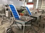 Industrial Potato Peeling Machine with Big Capacity and Stainless Steel 304