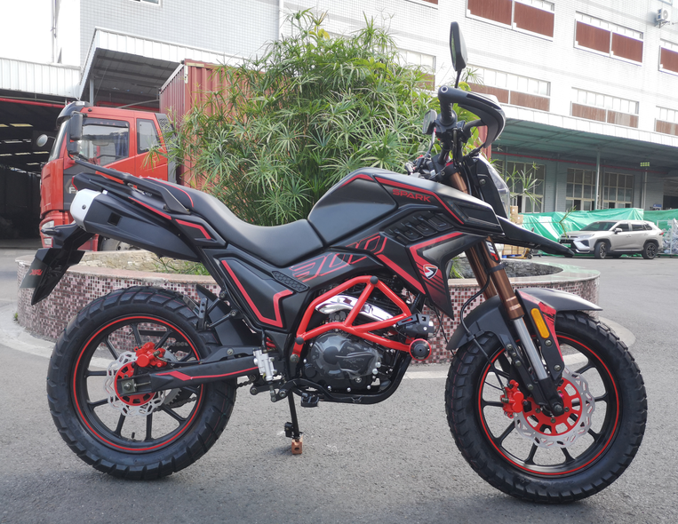 Gasoline Powered Racing Bike Motorcycle 250cc 300cc TEKKEN Motorcycle
