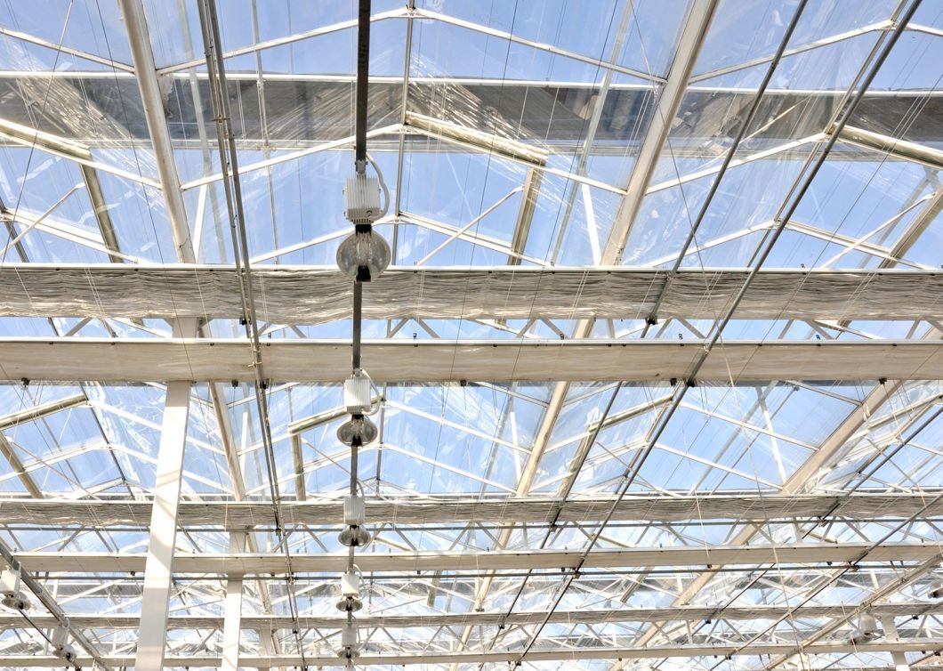Cheap Commercial Planting Sunlight Greenhouse for Vegetables