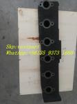 Top Cummins Genuine Engine Parts 6CT 3922423 3922935 3912106 3921482