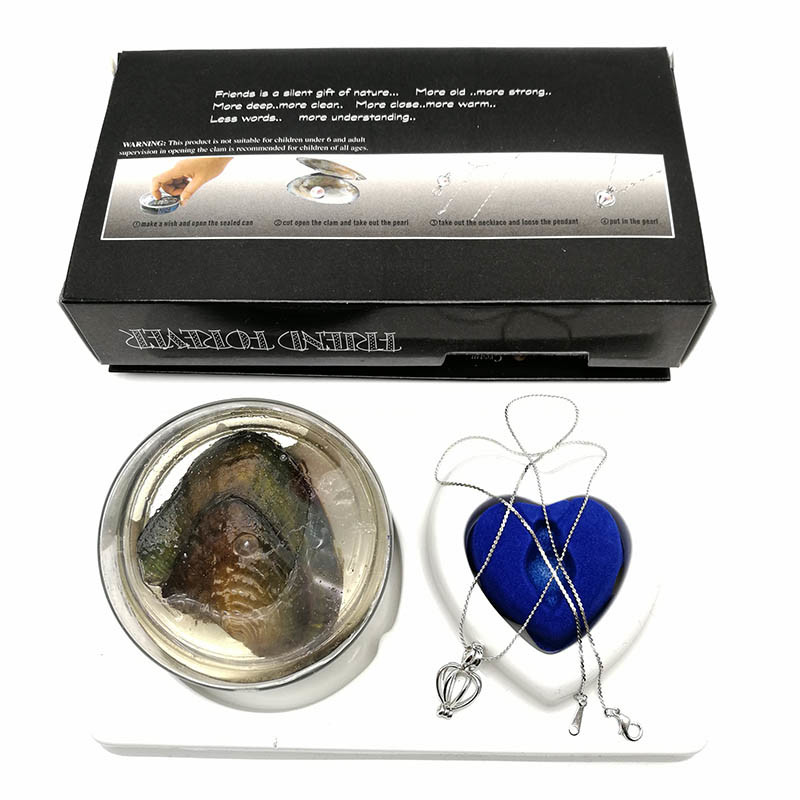 Friend Series Color Box Love Pearl Necklace Gift Box With Fashion Cage Pendant for Promotion Gift