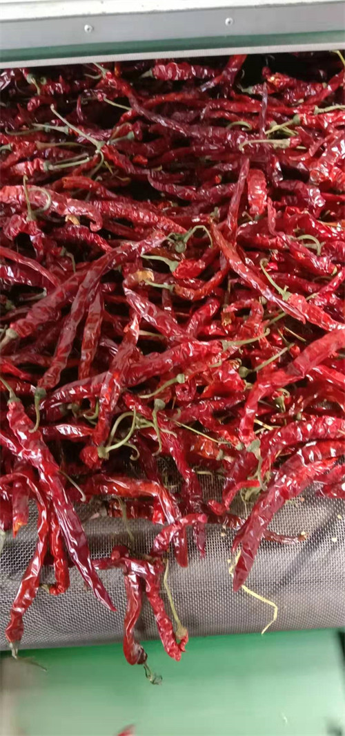 Stemless Erjingtiao Dried Chilis Sterilized Whole Chillies Pungent