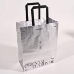 Waterproof Tear Resistant Personalized Silver Color Paper Bag Paper Carrier Bag