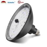 Aluminum Inflatable LED Swimming Pool Lighting Cold White 6000K IP68 PAR56
