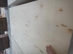 Full Birch Plywood