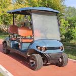 4 Seater Electric Golf Cart Blue Outdoor Theme Park Lithium Battery Manufacturer