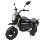 Retro Style Mini Electric Dirt Bike Max Speed 30-50Km/H Pedal Assisted Electric