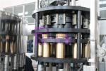 High Capacity Drinking Water Filling Plant Plastic Bottle Vertical Filling