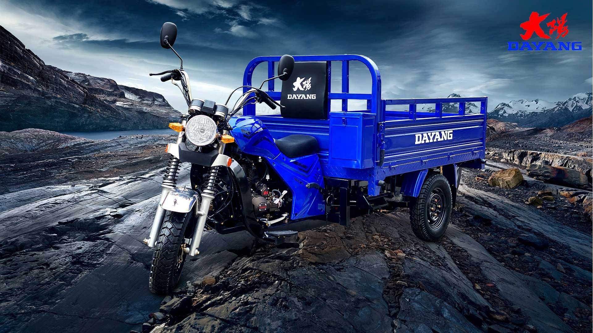 Maximum Speed of ≥70Km/h Gas Powered Cargo Tricycle with Front Disc Rear Drum Brake