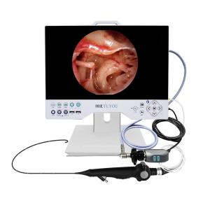 Quality TUYOU Cysto Instruments Multi-Purpose Rigid And Flexible Endoscopy Camera System For Uterine Surgeries wholesale