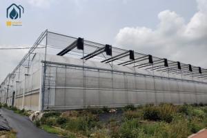 Quality Outdoor Large Multi Span Greenhouse Agriculture Metal Frame Plastic Greenhouse wholesale