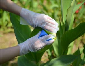 Quality Transparent Cleaning Food 1.4g Disposable Hand Gloves 100pcs/Box wholesale