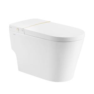 Quality Knob Control Ceramic Modern Smart Toilet , Siphonic jet Intelligent Toilet Bowl wholesale