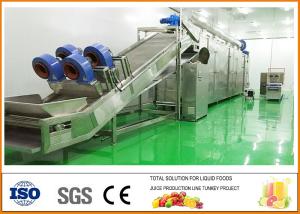 Quality Turnkey Pear Dried Fruit Production Line ISO9001 Certification wholesale