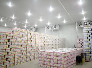 Quality Mobile Meat Cold Storage Unit For Food Industry / Pharmaceutical Industry wholesale