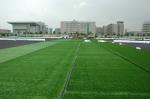 Not Distortion Athletic Field For Runway Garden Balcony Swimming Pool Children