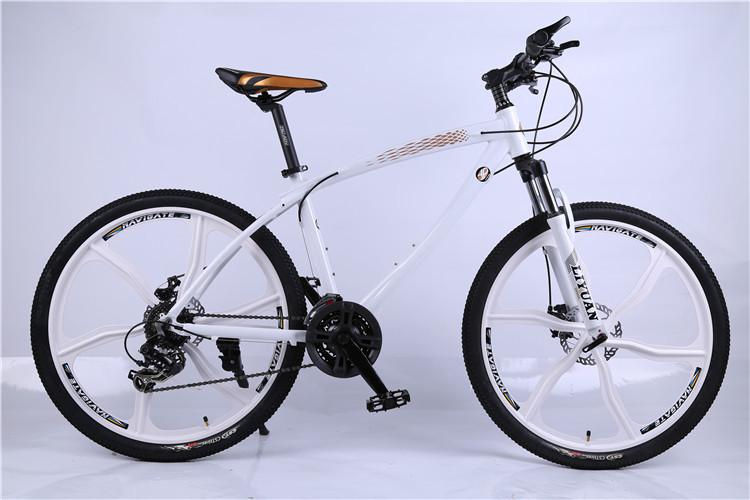 High quality OEM 6 spoke mag alloy wheel Shimano 21 speed aluminium alloy mountain bike