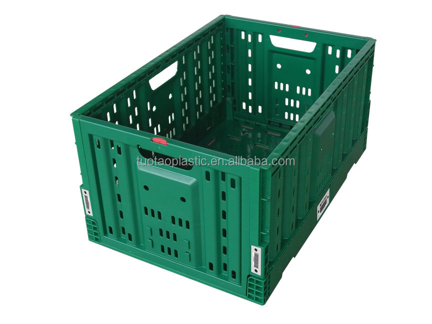 Green 600x400x300mm Folding PP Mesh Plastic Crate for Storing Fruits and Vegetables