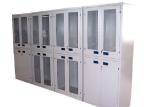 Customized Professional Reagent Storage Cabinet Corrosion Resistant
