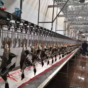 Quality CE Certificated Poultry Slaughtering Equipment Duck Poultry Slaughter Line 600KG wholesale
