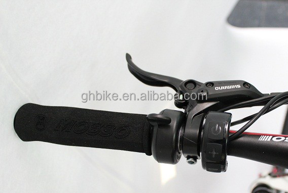 High Capacity 29" 1000W 48V 17Ah Lithium Battery Electric Mountain Bike for Adult Men