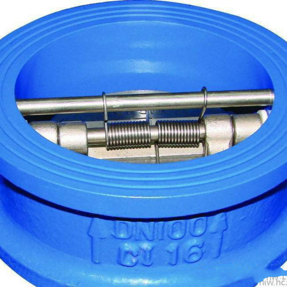 dual plate check valves