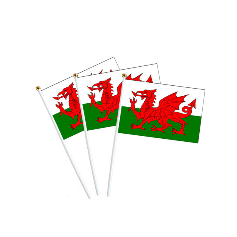 Personalized Hand Held Flags Waving Small Flag With Plastic Pole