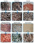 380V PLC Control Wood Pellet Machine Customized Pellet Press Machine