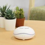 Battery Mini Car Air Purifying Aroma Diffuser
