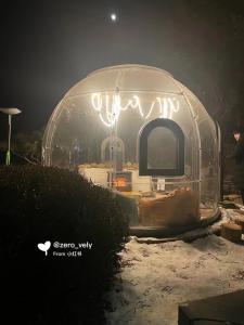 Quality UV Resistance Clear Bubble Tents Green Diameter 3.5m Outdoor Bubble Dome wholesale