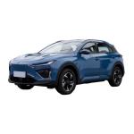 Small Pure Motor Power 501km CLTC Pure Electric Range NETA X Electric SUV 2023