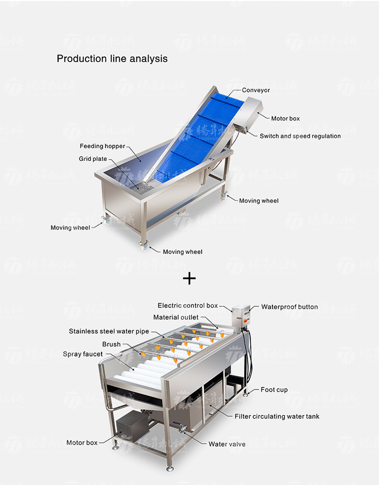 Kiwi Carrot Taro Vegetable Brush Bubble Cleaning Machine 2.5KW