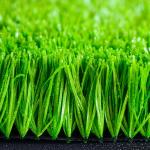 Natural Artificial Golf Green Turf Tpe Rubber Granule For Display 1mm Width