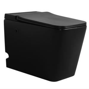 Quality Bathroom Modern Tankless Toilet Floor Mounted With Pulse Technology wholesale