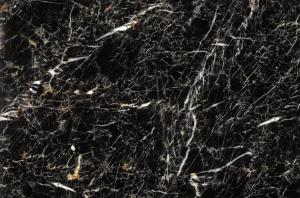 Quality marble color prepainted Steel Coil wholesale