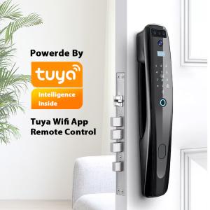 Quality Tuya Smart Fingerprint Smart Lock Face Recognition Door Lock With Wifi wholesale