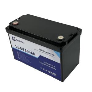 Quality 100Ah 12.8V Solar System LiFePO4 Lithium Battery Solar System For Green Energy Solutions wholesale