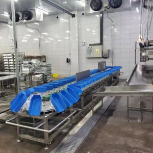 Quality Chicken Weight Grading Machine wholesale
